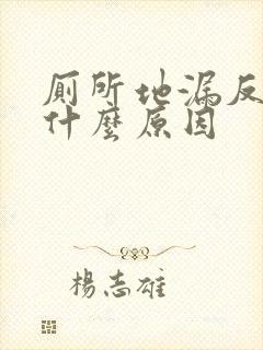 厕所地漏反臭是什么原因