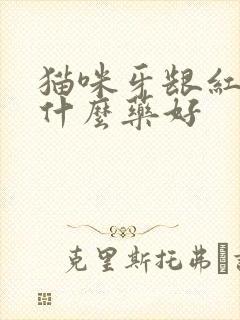 猫咪牙龈红肿吃什么药好