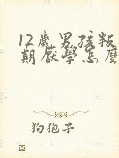 12岁男孩叛逆期厌学怎么办