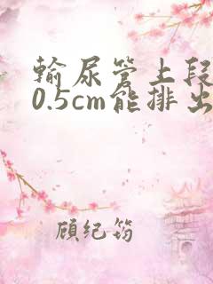 输尿管上段结石0.5cm能排出来吗