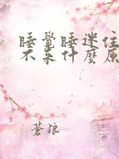 睡觉睡迷住了醒不来什么原因