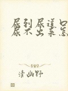 尿到尿道口就是尿不出来怎么回事