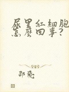 尿里红细胞高是怎么回事?