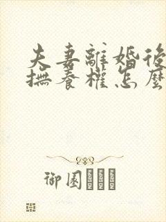 夫妻离婚后孩子抚养权怎么判别