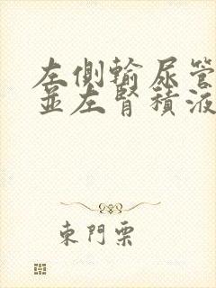 左侧输尿管结石并左肾积液