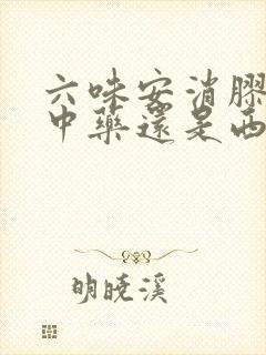 六味安消胶囊是中药还是西药