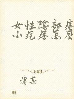 女性阴部瘙痒有小疙瘩怎么回事