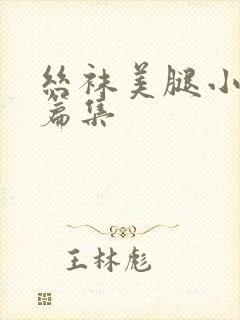 丝袜美腿小说短篇集