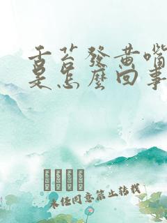 舌苔发黄嘴里苦是怎么回事