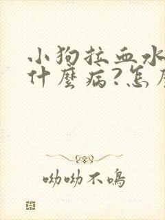 小狗拉血水了是什么病?怎么治