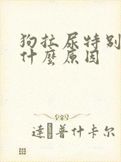 狗拉尿特别黄是什么原因