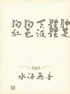 狗狗下体肿大有红色液体是什么情况