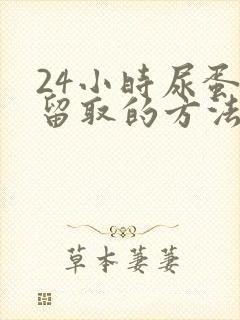 24小时尿蛋白留取的方法