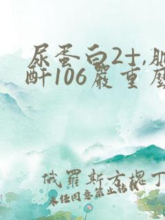 尿蛋白2+,肌酐106严重么?