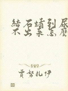 结石堵到尿道排不出来怎么办