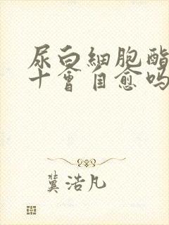 尿白细胞酯酶1十会自愈吗