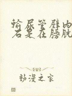 输尿管壁内段结石是在膀胱里吗