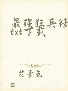 最强狂兵精校版txt下载