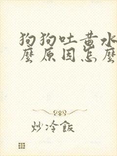 狗狗吐黄水是什么原因怎么办