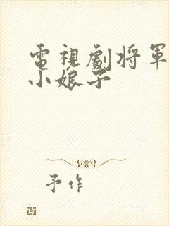 电视剧将军家的小娘子