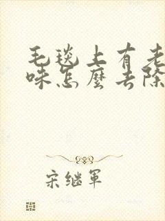 毛毯上有老鼠尿味怎么去除