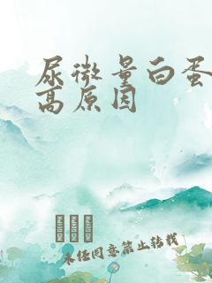 尿微量白蛋白升高原因