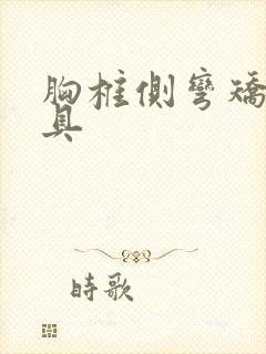 胸椎侧弯矫正支具