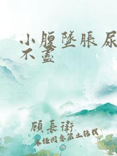 小腹坠胀尿频尿不尽