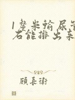 1厘米输尿管结石能排出来吗