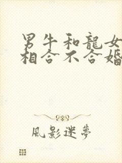 男牛和龙女的属相合不合婚姻