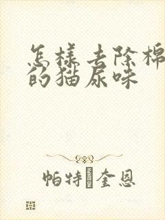 怎样去除棉被上的猫尿味