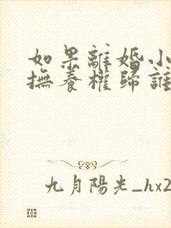 如果离婚小孩的抚养权归谁