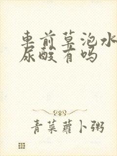 车前草泡水喝降尿酸有吗