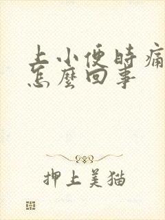 上小便时痛带血怎么回事