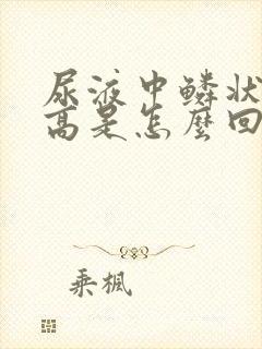 尿液中鳞状上皮高是怎么回事女性