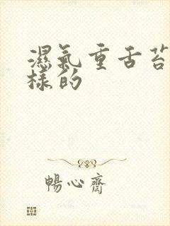 湿气重舌苔是怎样的