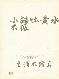 小猫吐黄水食欲不振