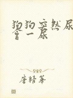 狗狗突然尿频一会一尿