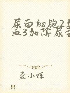 尿白细胞2加隐血3加阴尿蛋白微量是怎么回事