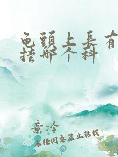 龟头上长有红斑挂哪个科