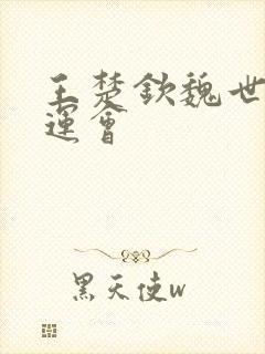 王楚钦魏世皓全运会