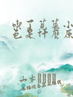 吃了苋菜小便红色是什么原因?