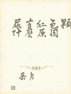 尿有红色颗粒是什么原因