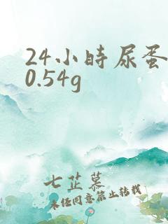 24小时尿蛋白0.54g