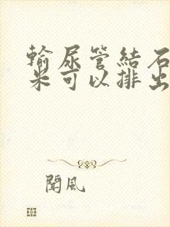 输尿管结石一厘米可以排出吗