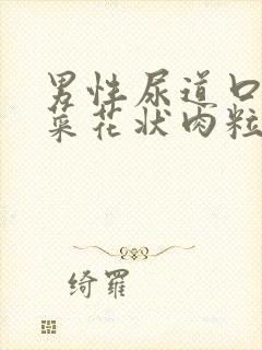 男性尿道口长出菜花状肉粒