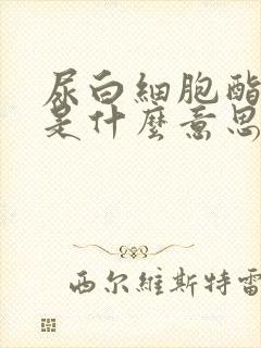 尿白细胞酯酶+是什么意思