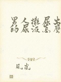 男人撒尿出白色的尿液怎么回事