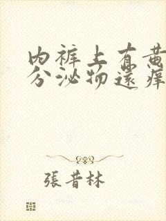 内裤上有黄黄的分泌物还痒是怎么回事