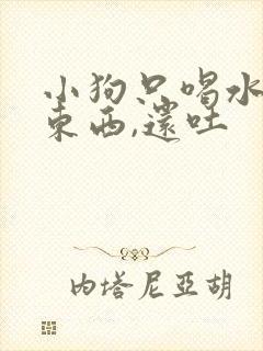 小狗只喝水不吃东西,还吐